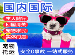 天河空运地址国际宠物托运 【国